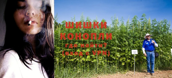 индика Медвежьегорск