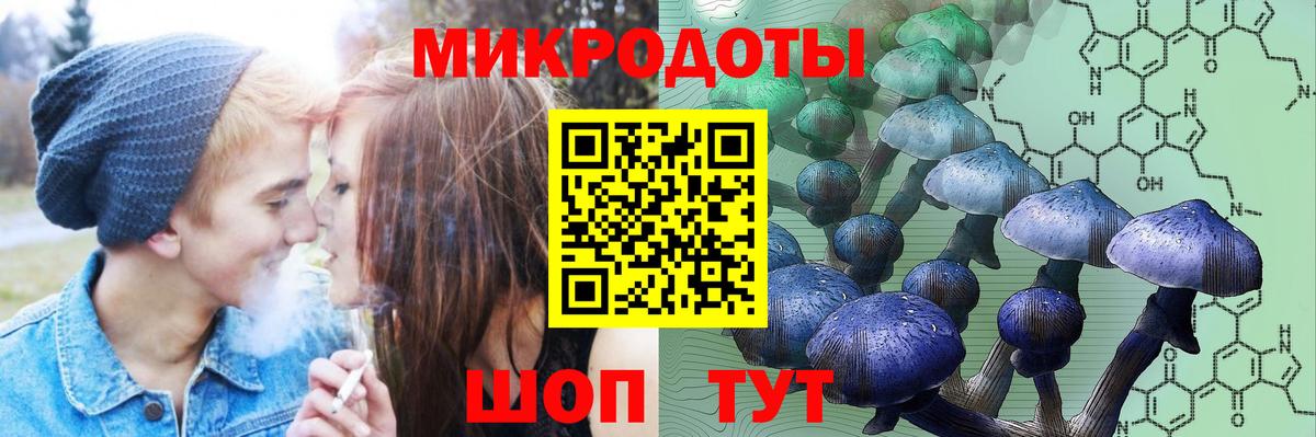 Псилоцибиновые грибы мухоморы Кисловодск